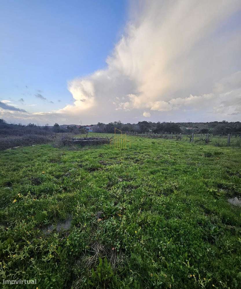 Oportunidade Única em Ferreira do Zêzere-12