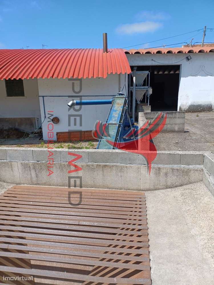 Lagar em Vale de Açor - Ponte de Sôr - Grande imagem: 4/10