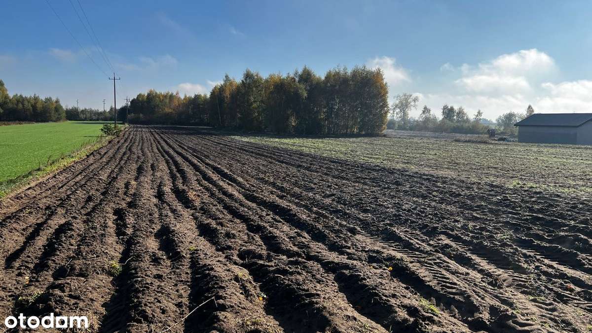 Idealne siedlisko. Działka budowlana przy asfaltowej ulicy. - Pełny obrazek: 5/18