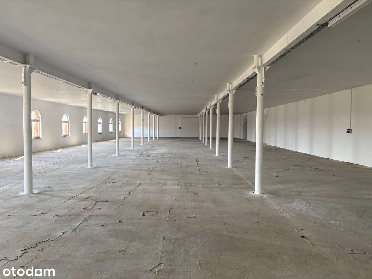 Wynajmę Halę Magazynową wraz z terenem - Pełny obrazek: 4/8