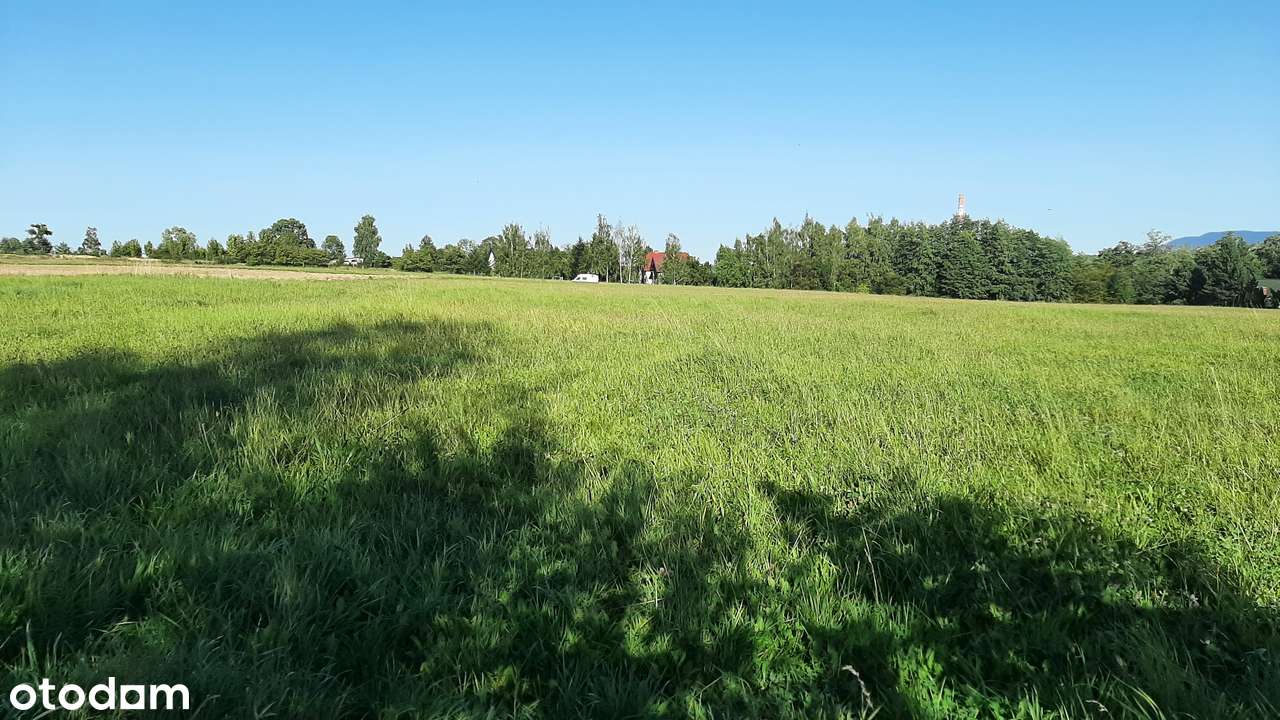 Międzyrzecze Górne działka budowlana 2243m² w malowniczej okolicy - Pełny obrazek: 2/4