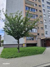 Mieszkanie z widokiem na panoramę Szczecina