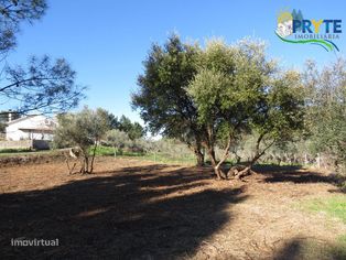Terreno para construção situado em Fundada - Vila de Rei - Grande imagem: 5/13