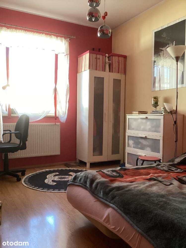 Dom mieszkalny i dom + budynek użytkowy do najmu-15