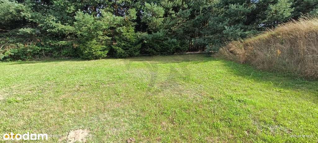 Projekt za free - to uczciwa cena - Pełny obrazek: 4/20