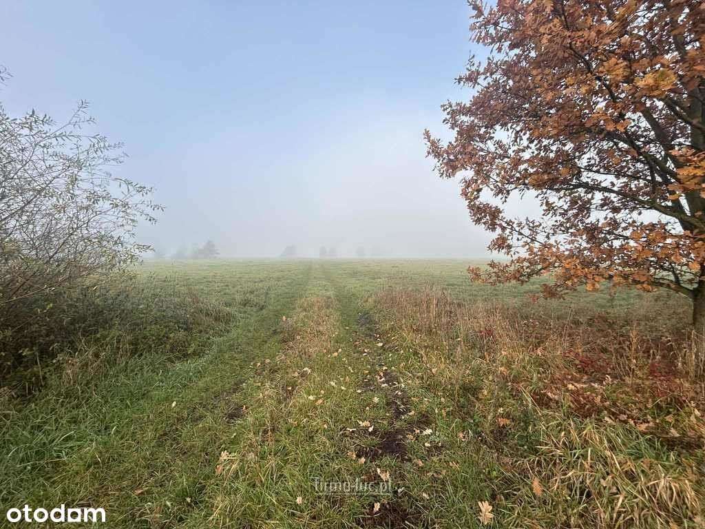 Działki pod Pv, gmina Deszczno - Pełny obrazek: 4/4