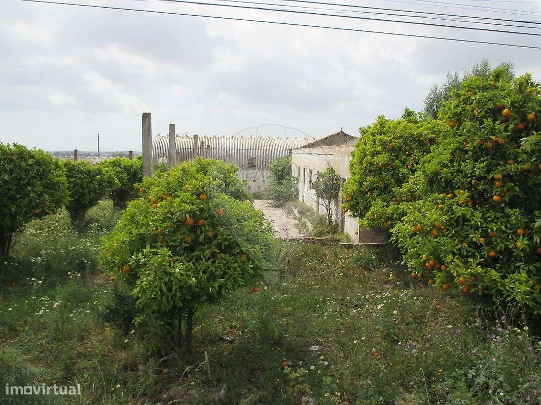 Terreno  para venda - Grande imagem: 3/10