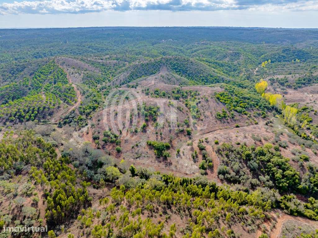 Terreno em Santa Margarida da Serra - Grande imagem: 4/8