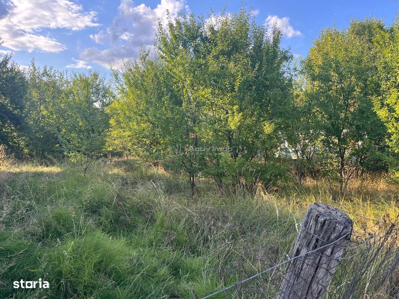 Darova, Teren Intravilan 1060 Mp., Str. Principala - Imagine principală: 4/9