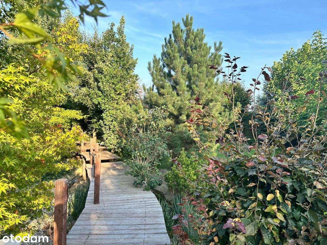 Atrakcyjna dzialka z ogrodem na sprzedaż - Pełny obrazek: 5/18