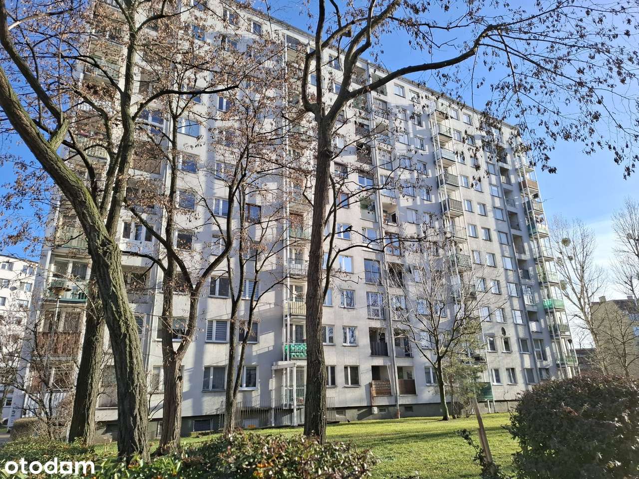 lokal mieszkalny Wrocław, ul. Zegadłowicza 41a/2 - Pełny obrazek: 2/11