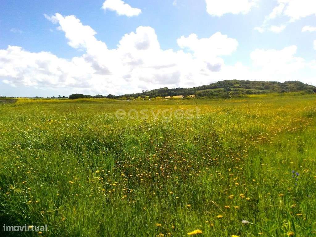 Terreno com 13600m2 a 2,5 km do centro de Pêro Pinheiro - Grande imagem: 4/9