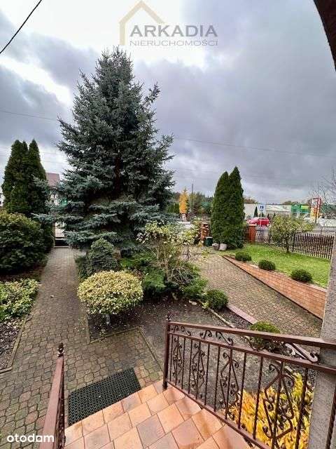 Gotowy do wprowadzenia!z potencjałem!-4