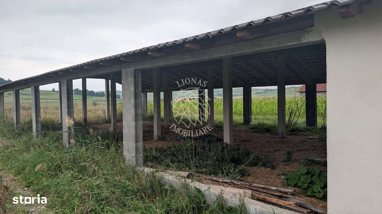 Hala Noua 400 mp-teren 5000 mp-ideal ferma, productie-Cepari - Imagine principală: 2/3