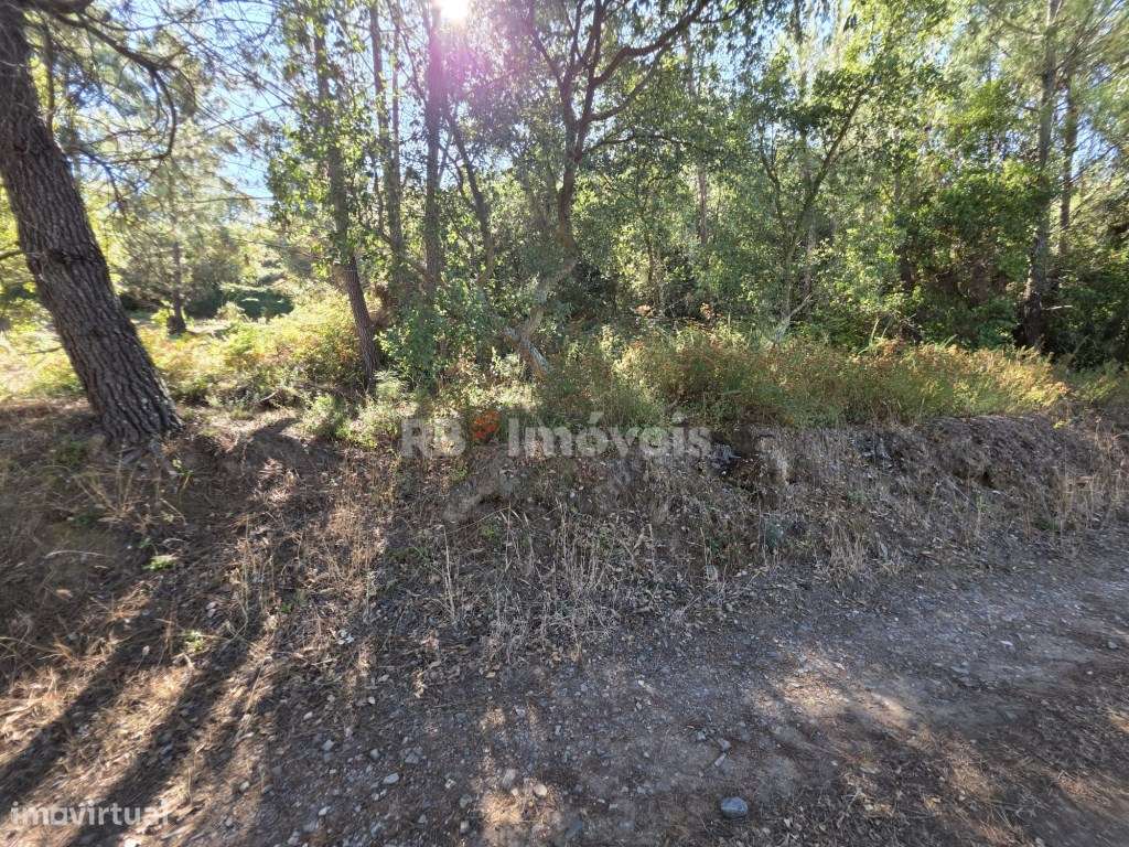 Terreno com malha urbana no centro da aldeia da Serra de Tomar - Grande imagem: 5/21