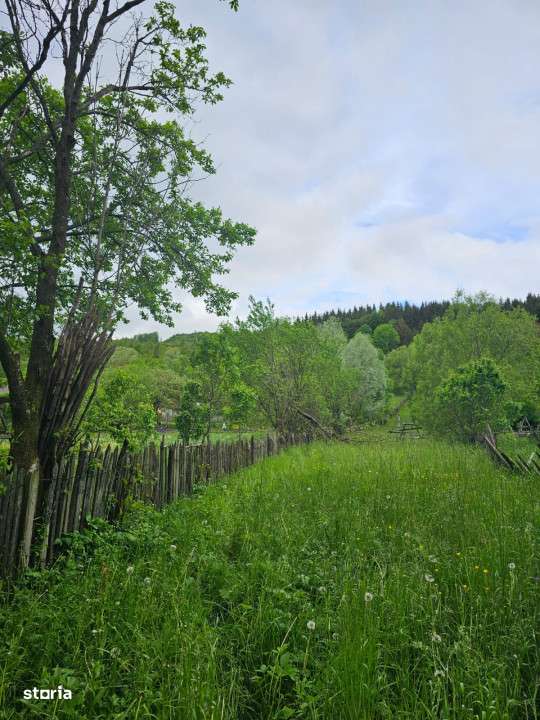 TEREN VANZARE VALEA DOFTANEI - Imagine principală: 3/6