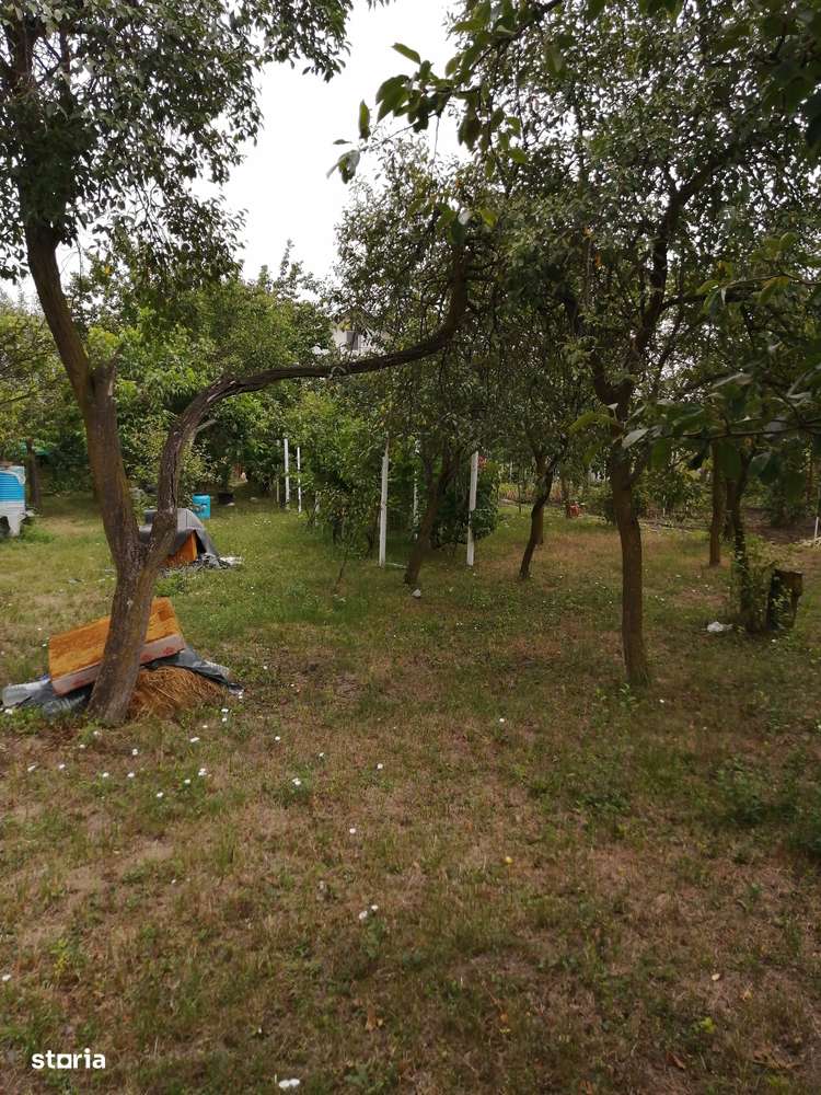 Vand teren în intravilanul vechi-sat, 900 mp, cu casa demolabila - Imagine principală: 2/4