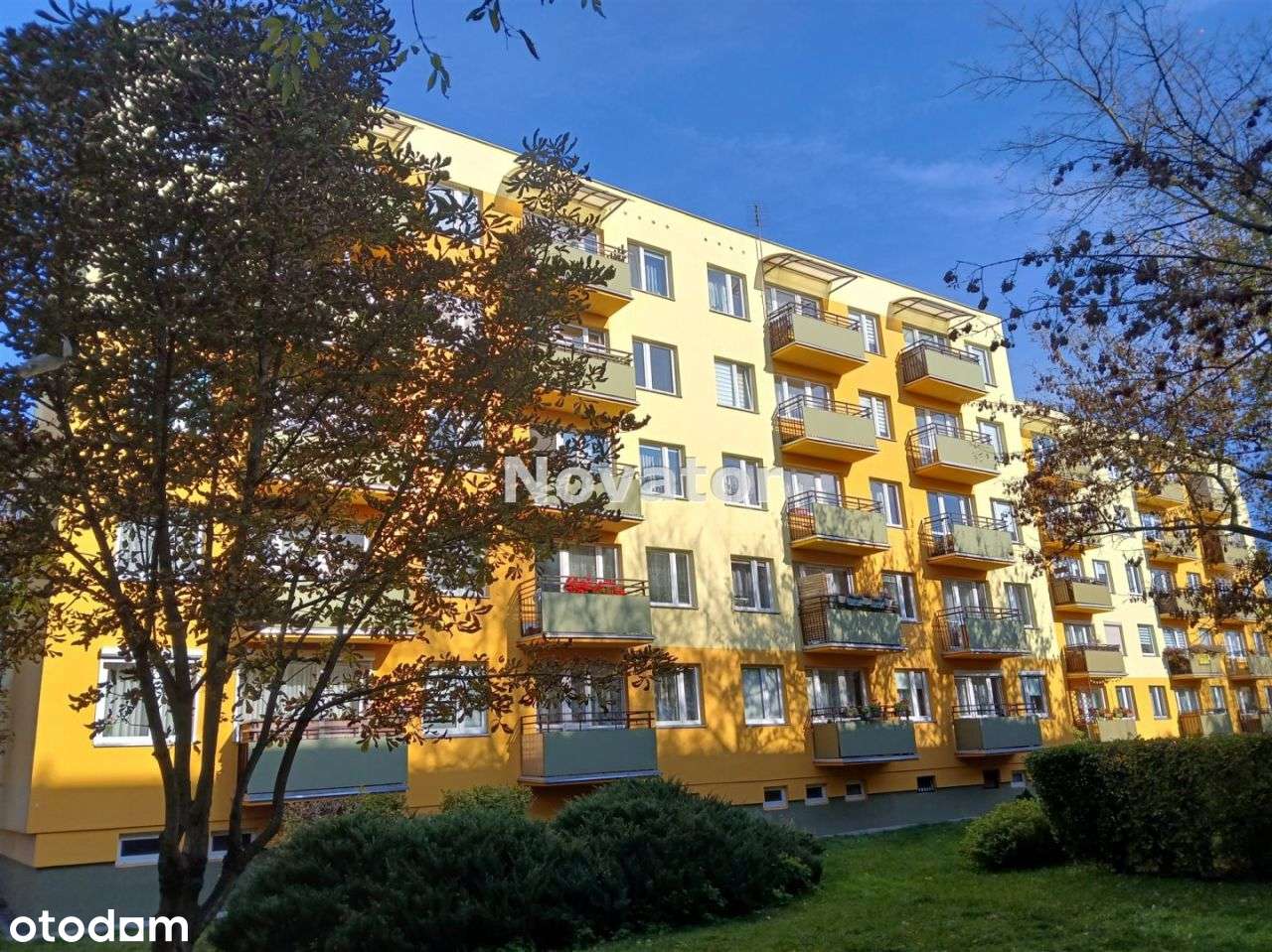 M-4 na 1-piętrze w bloku 60,6m2 na Górzyskowie. - Pełny obrazek: 2/18