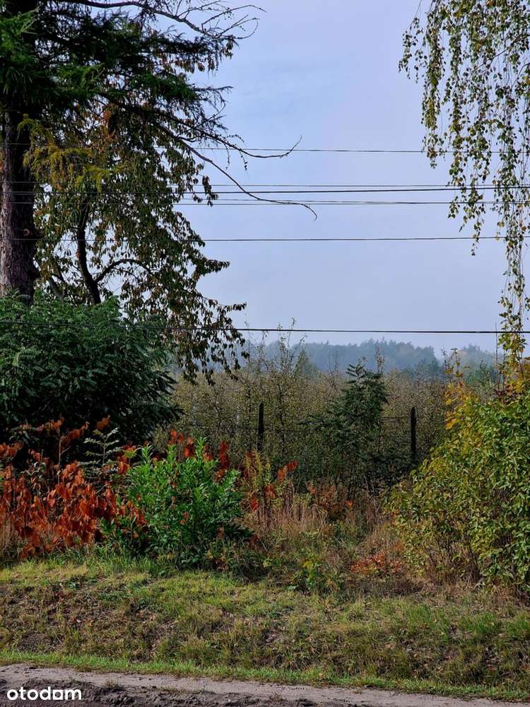 Działka usługowa 5100 m² – Doskonała lokalizacja-8