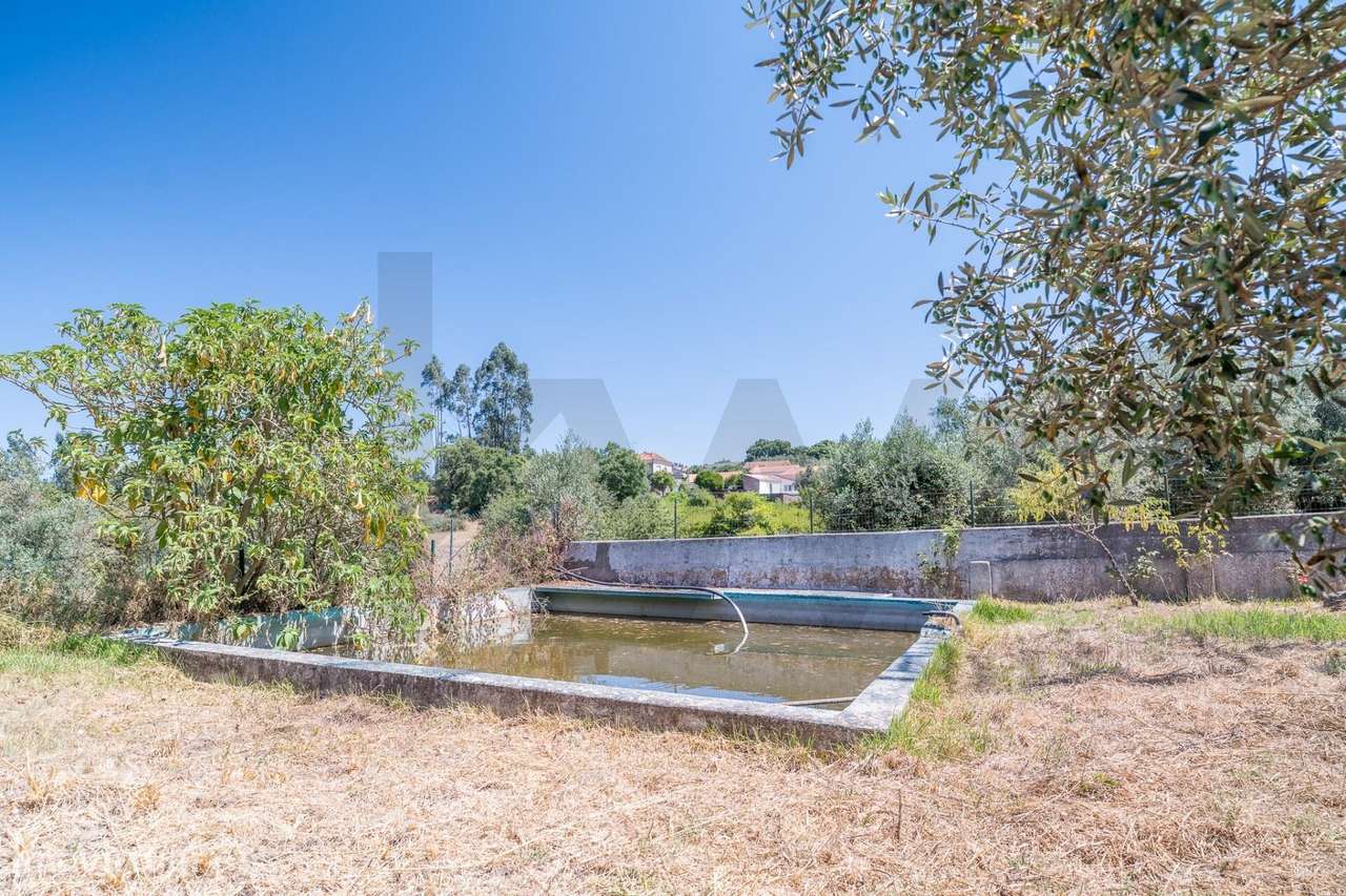 Quinta com 14.920m2 com Moradia T6 e Café em Tomar-40