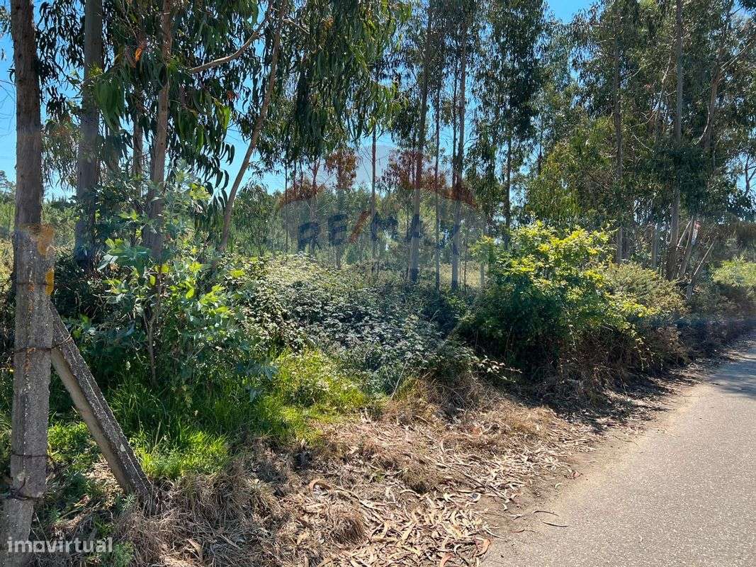 Terreno  para venda - Grande imagem: 4/6