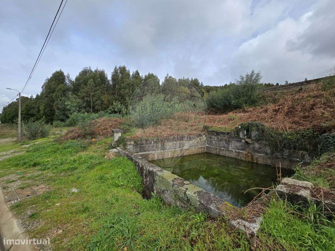 Quinta  para venda - Grande imagem: 5/15