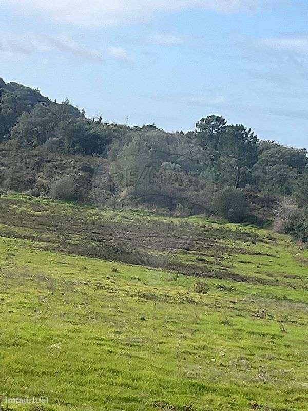 Terreno  para venda - Grande imagem: 2/3