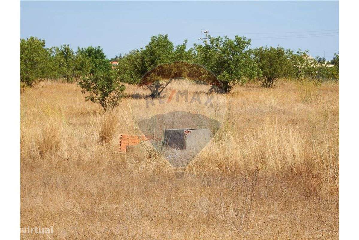 Terreno  para venda - Grande imagem: 5/12