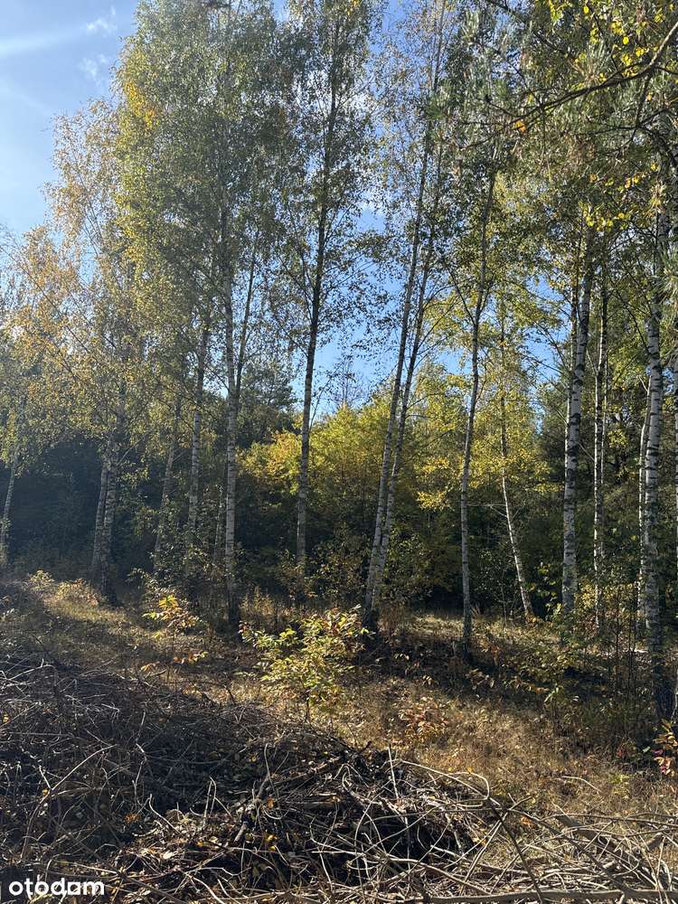 Do Parku Chojnowskiego 400 m, blisko do pociągu-10