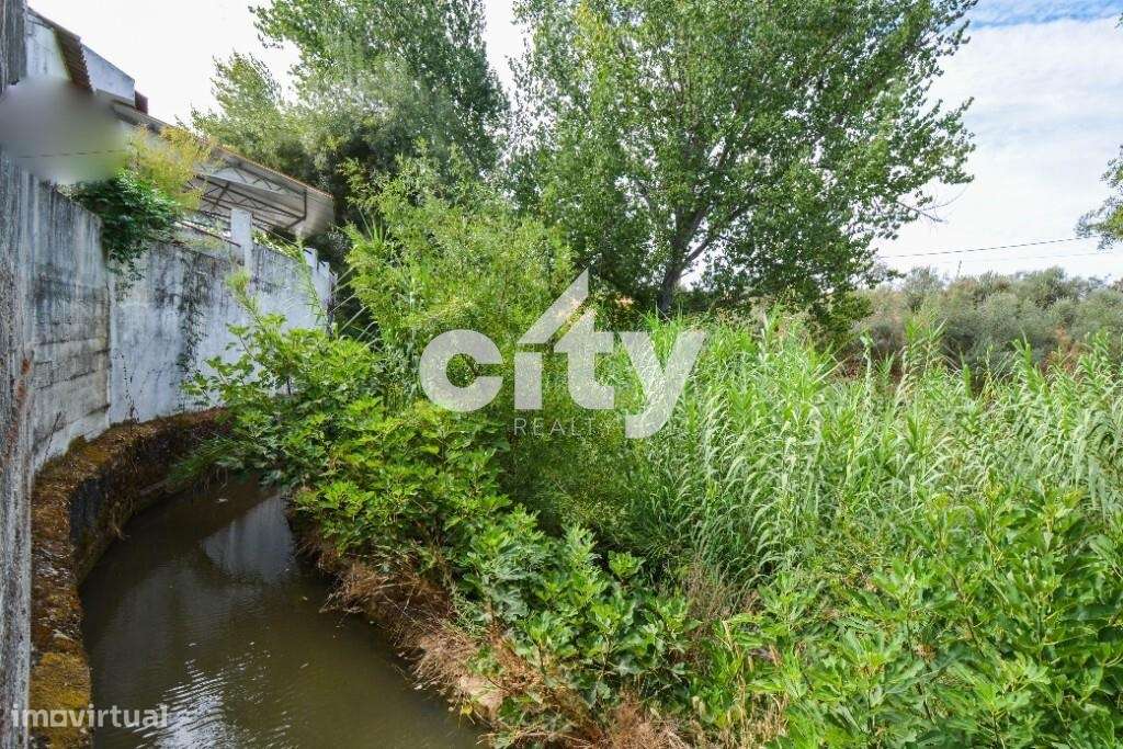 Refúgio Rural junto à ribeira- Moradia em Pisão - Avis-23