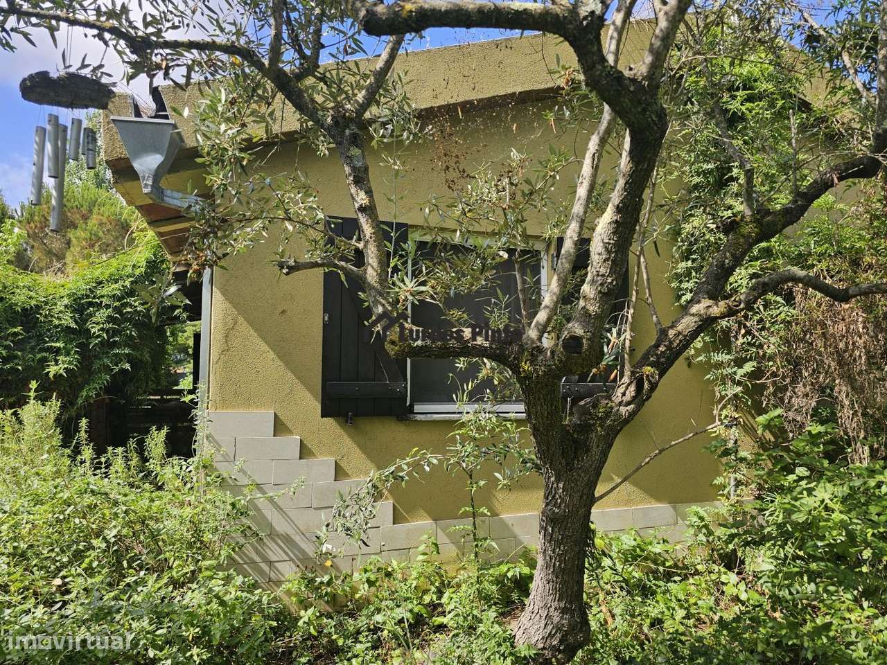 Quinta com habitação-16