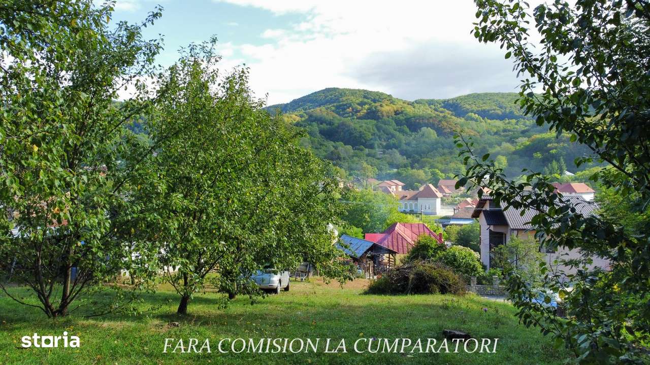 TEREN 1869 MP, CADRU NATURAL SUPERB, TOATE UTILITATILE-9