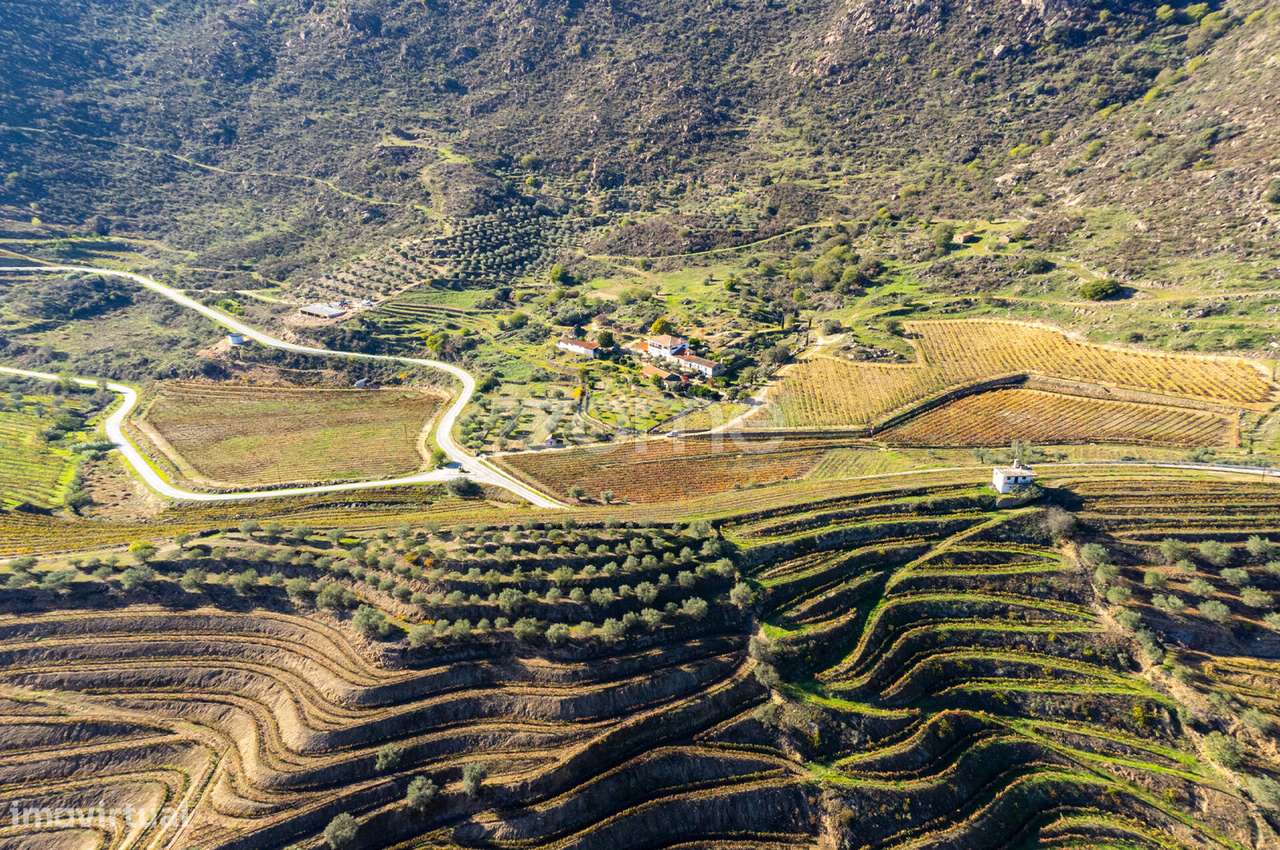 Quinta Seixo de Ansiães - Grande imagem: 5/54