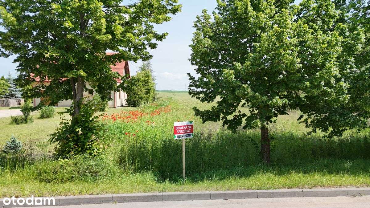 Duża działka rolna – 4,5 ha | Smętowo Graniczne - Pełny obrazek: 1/18