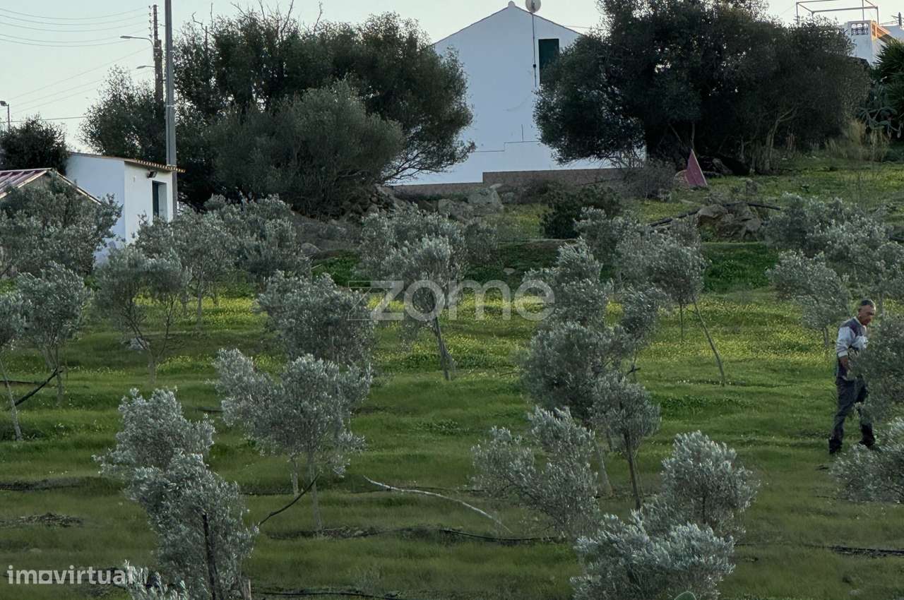 Herdade Vale do Guadiana 25HA-15