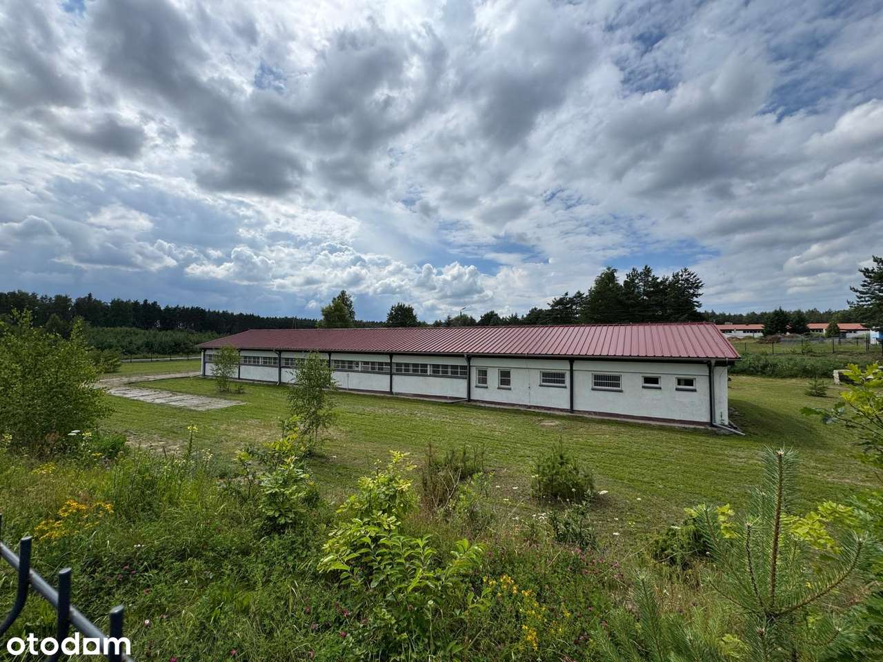 Hala magazynowo - produkcyjna z powierzchnią biurową - Pełny obrazek: 3/5