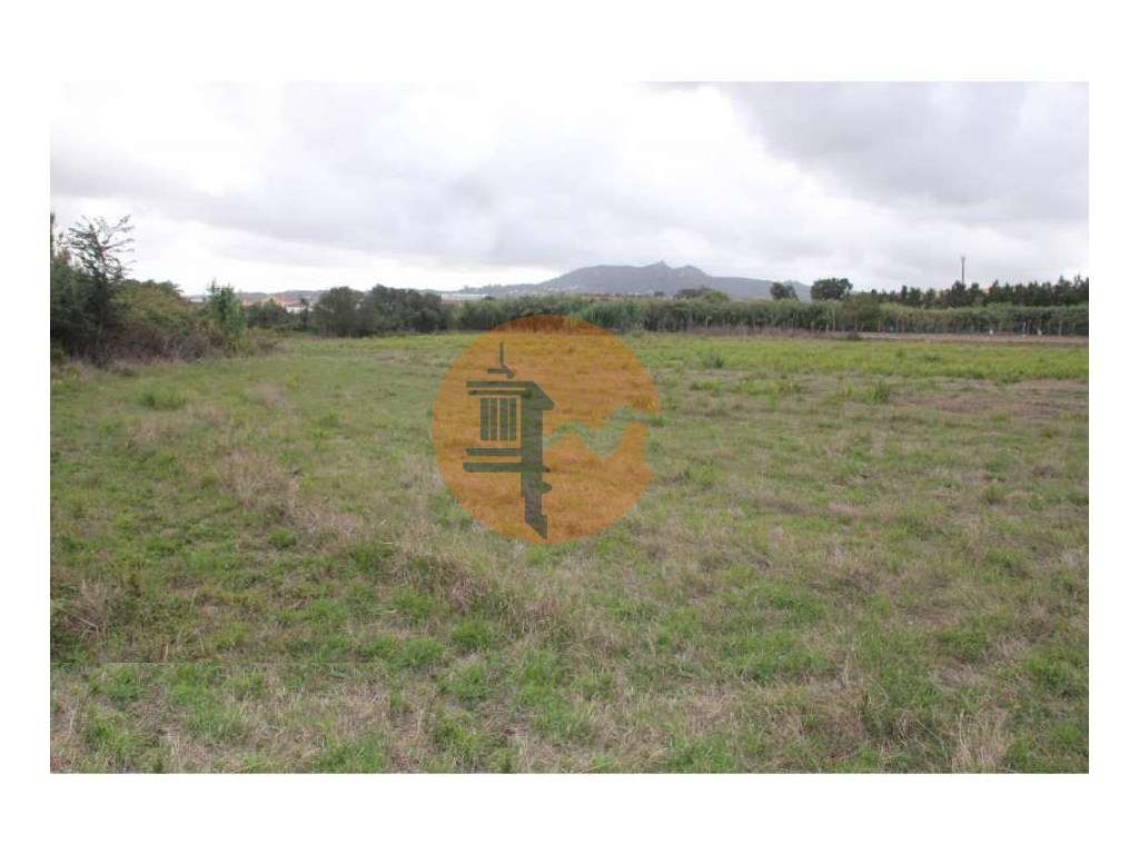 Terreno Industrializado no Ral - Terrugem - Grande imagem: 2/2