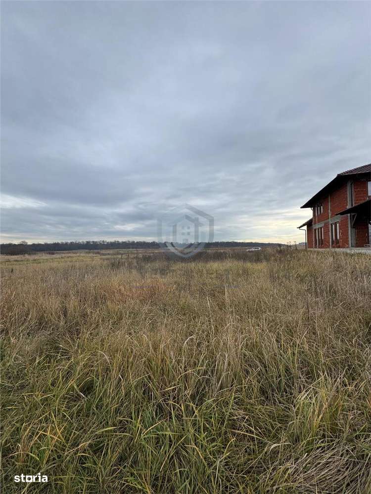 Teren intravilan, Sanmartin, 720 mp  - Imagine principală: 2/2