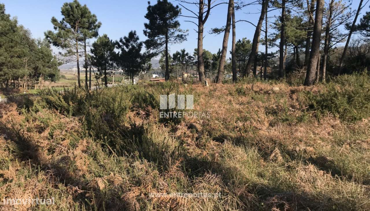 Venda de Terreno, Carreço, Viana do Castelo. - Grande imagem: 4/28