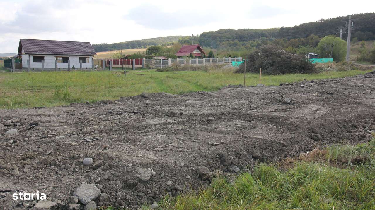 Teren 780 mp, Livezeni cu PUG aprobat recent,59 euro mp - Imagine principală: 3/20