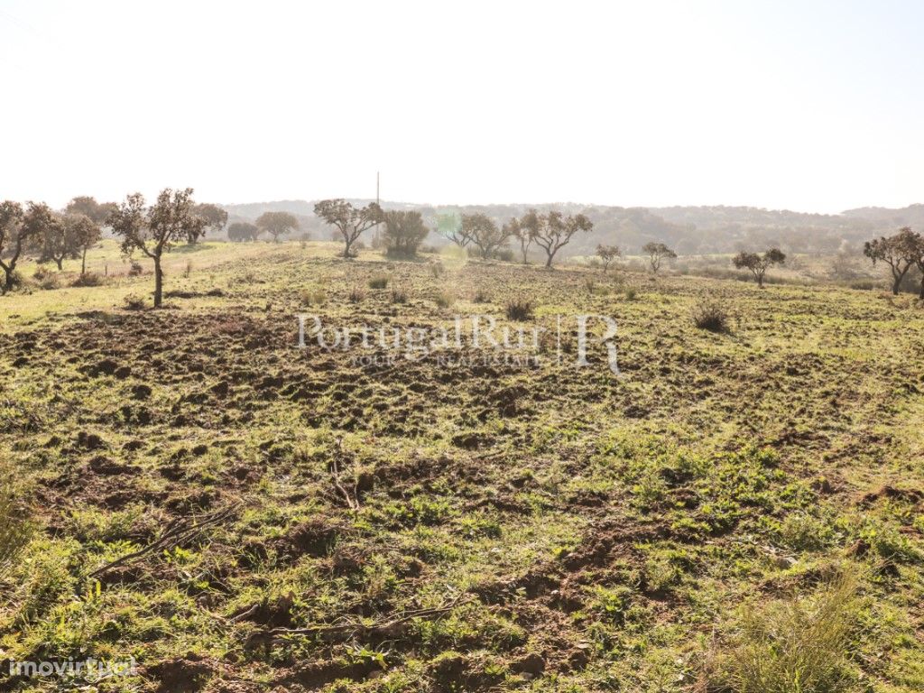 Quinta de 4,5 ha próximo de Terena, Alandroal