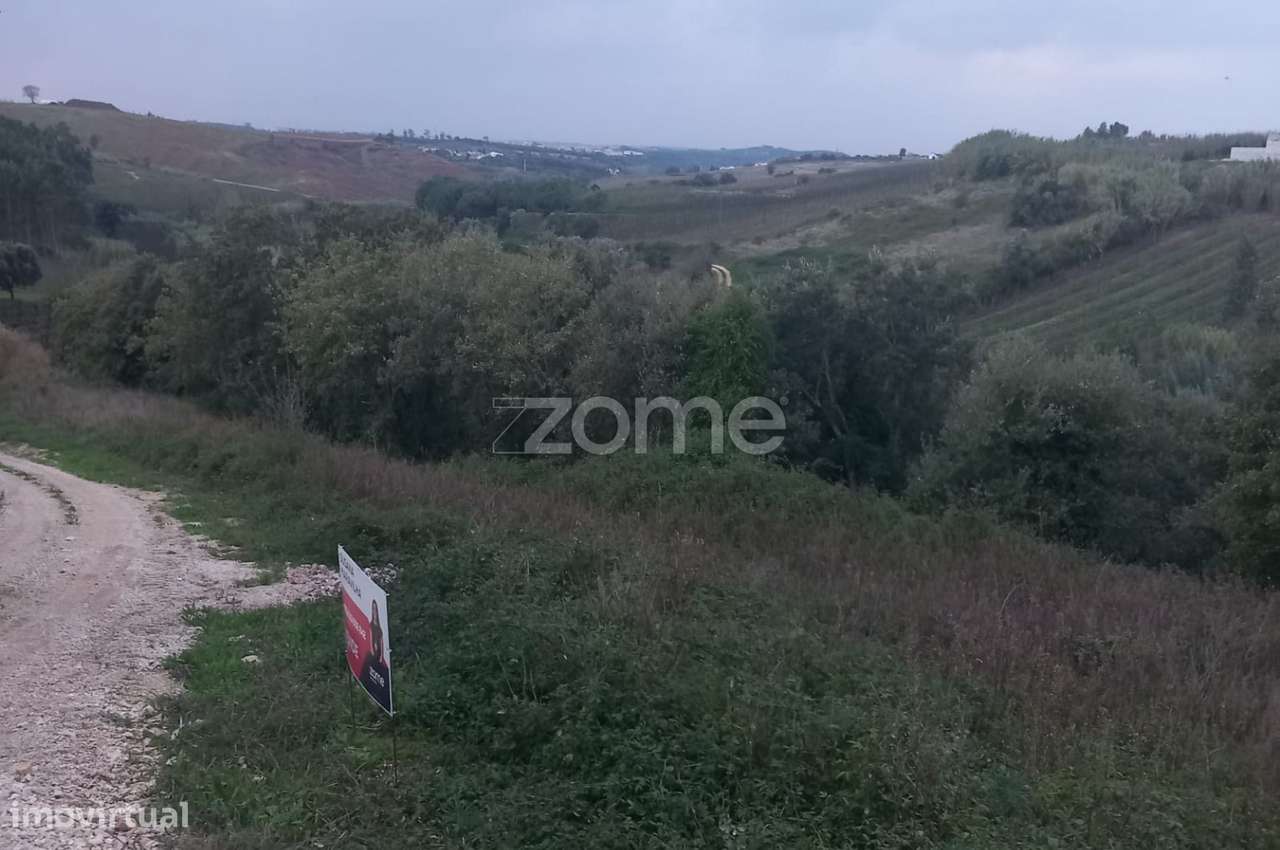 Vende-se Terreno Rústico em Rochaforte- Cadavalr - Grande imagem: 2/11