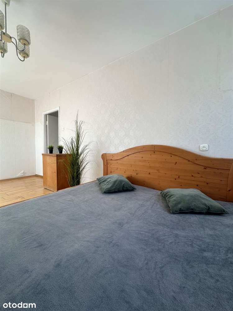 Okazja! 3 pokoje z balkonem na parterze - Okazja! - Pełny obrazek: 2/6