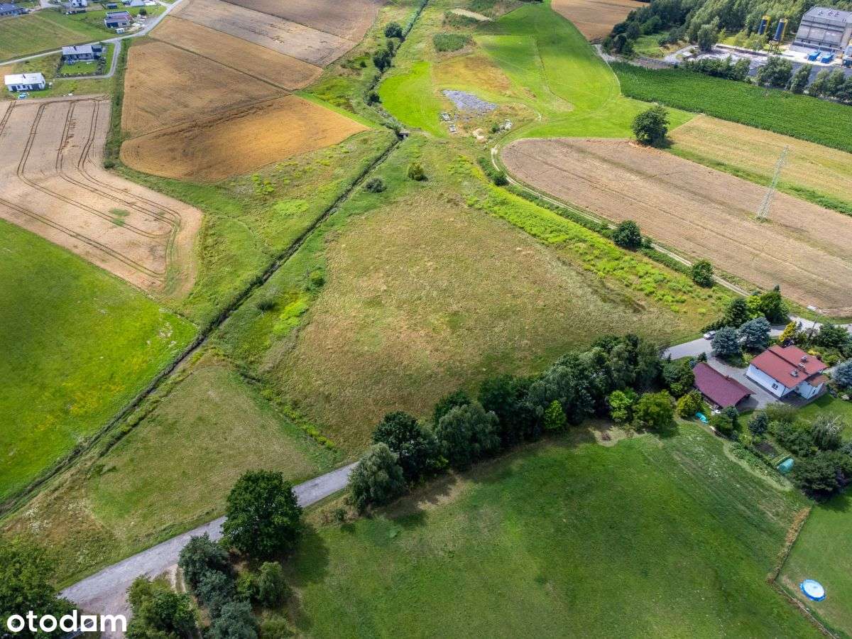 Sprzedam Duży Teren Rolny 1,5ha Żory Baranowice-3