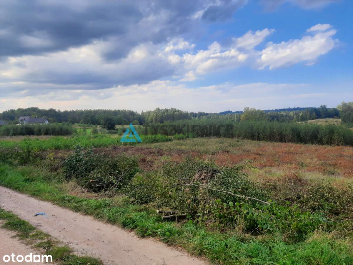 Piękna działka budowlana w otulinie jezior i lasów - Pełny obrazek: 4/9