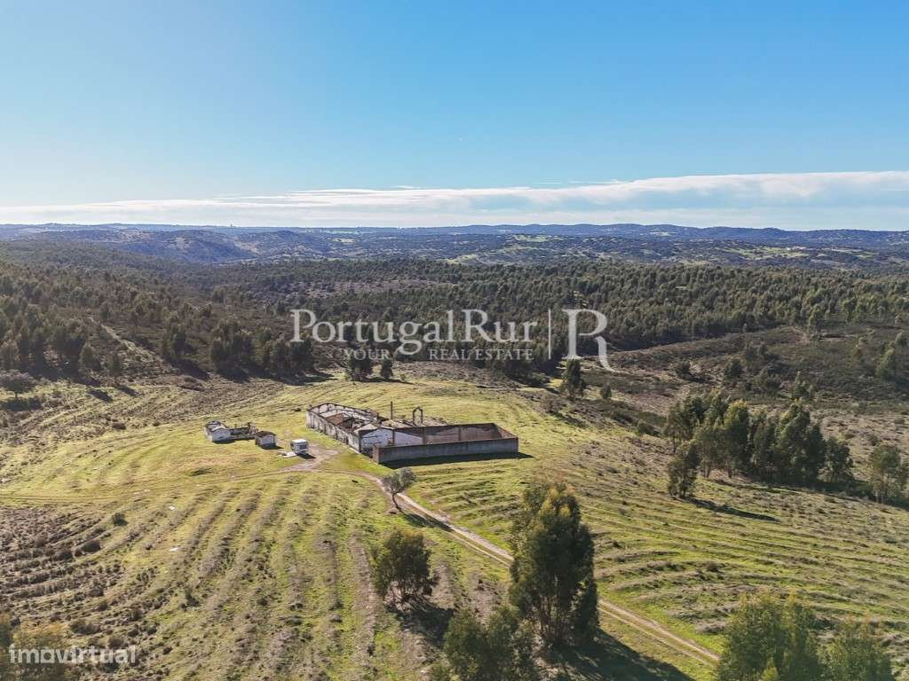 Herdade de 1000 ha com eucaliptal, ruínas e barragem - Grande imagem: 2/15