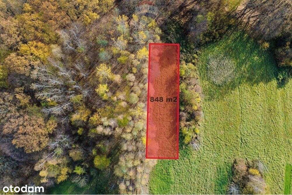 Działka rolna 848 m² w Oczkowie - Pełny obrazek: 5/11