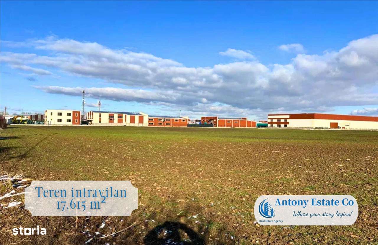 Teren Intravilan de vanzare- Bors - Imagine principală: 2/6