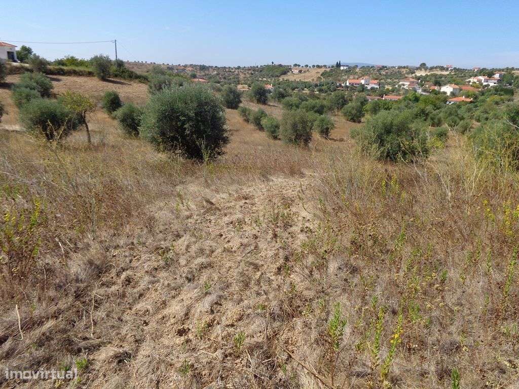 Terreno - T1499/15 - Grande imagem: 2/7