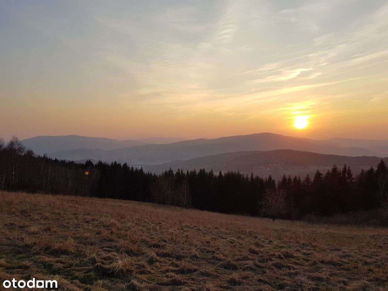 Działka budowlana o powierzchni 2,43 ha, z widokiem na Babią Górę - Pełny obrazek: 4/4